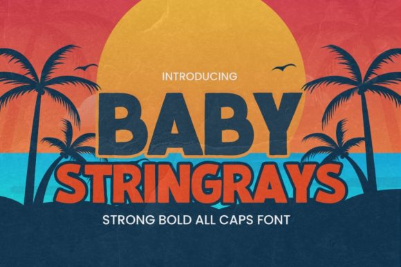 Baby Stringrays Font for Bold Branding and Design