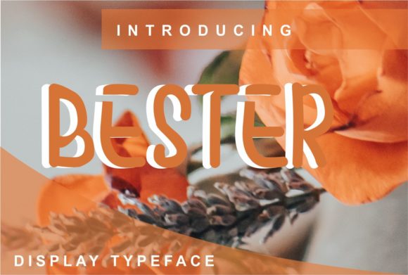Bester Font for Trendy Branding and Display Design