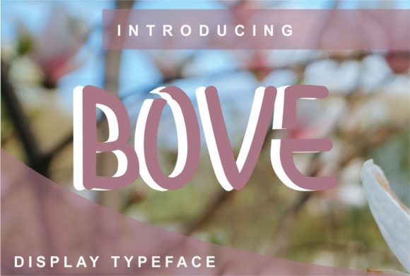 Bove Display Font for Modern Web Design