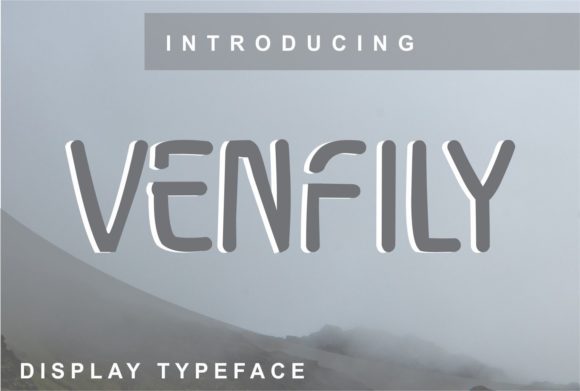 Venfily: The Display Font That Elevates Your Campaigns